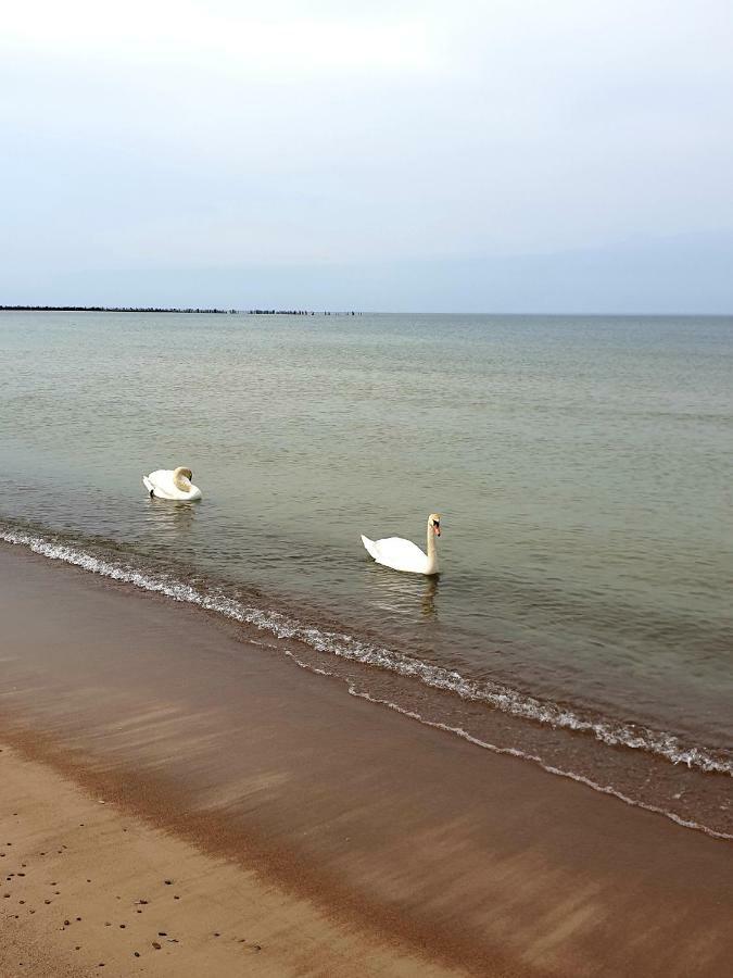 Palanga Apartments Near Baltic Sea Екстер'єр фото